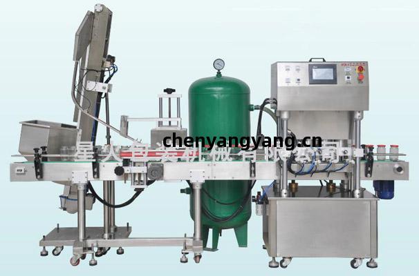 XHZK-4直線(xian)式抽(chou)真(zhen)空旋(xuan)蓋(gai)機(ji)